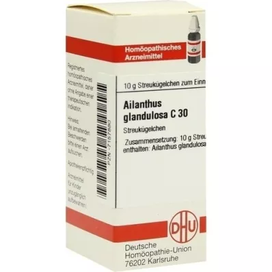 AILANTHUS GLANDULOSA C 30 σφαιρίδια, 10 g