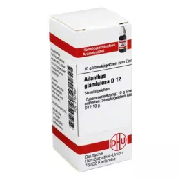 AILANTHUS GLANDULOSA D 12 σφαιρίδια, 10 g