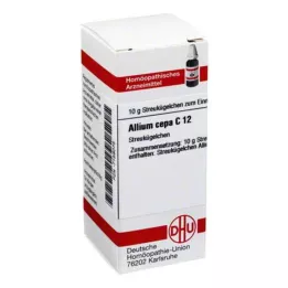 ALLIUM CEPA C 12 σφαιρίδια, 10 g