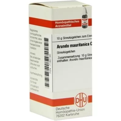 ARUNDO mauritanica C 30 σφαιρίδια, 10 g