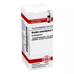 ARUNDO mauritanica C 30 σφαιρίδια, 10 g