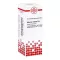 Αραίωση Asterias Rubens D6 (20 ml)