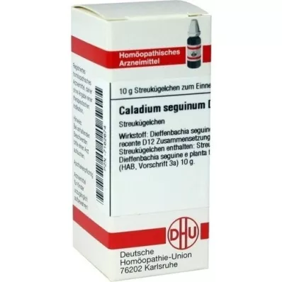 CALADIUM seguinum D 12 σφαιρίδια, 10 g