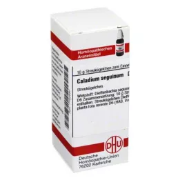 CALADIUM seguinum D 6 σφαιρίδια, 10 g