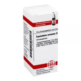 EQUISETUM ARVENSE D 12 σφαιρίδια, 10 g