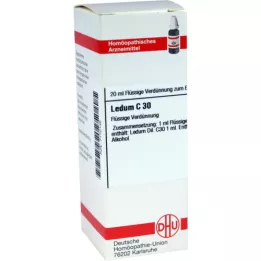 LEDUM Αραίωση C 30, 20 ml