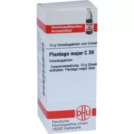 PLANTAGO MAJOR C 30 σφαιρίδια, 10 g