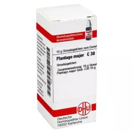PLANTAGO MAJOR C 30 σφαιρίδια, 10 g