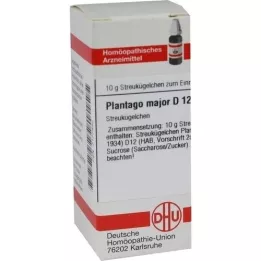 PLANTAGO MAJOR D 12 σφαιρίδια, 10 g