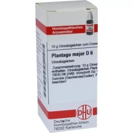 PLANTAGO MAJOR D 6 σφαιρίδια, 10 g