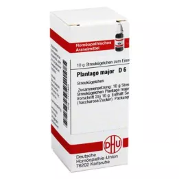 PLANTAGO MAJOR D 6 σφαιρίδια, 10 g