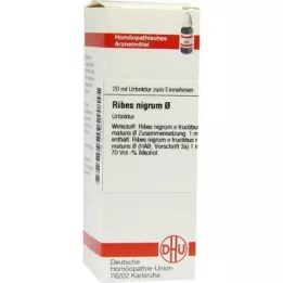 RIBES NIGRUM Μητρικό βάμμα, 20 ml
