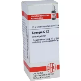 SPONGIA C 12 σφαιρίδια, 10 g