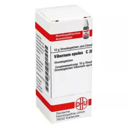 VIBURNUM OPULUS C 30 σφαιρίδια, 10 g