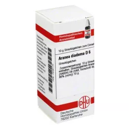 ARANEA DIADEMA D 6 σφαιρίδια, 10 g