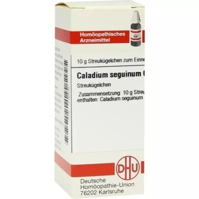 CALADIUM seguinum C 6 σφαιρίδια, 10 g