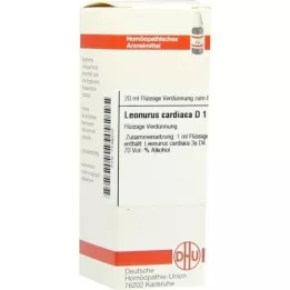 LEONURUS CARDIACA D 1 αραίωση, 20 ml