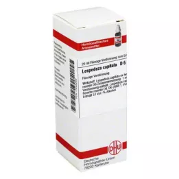 LESPEDEZA CAPITATA Αραίωση D 6, 20 ml