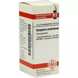 SYZYGIUM JAMBOLANUM D 4 σφαιρίδια, 10 g