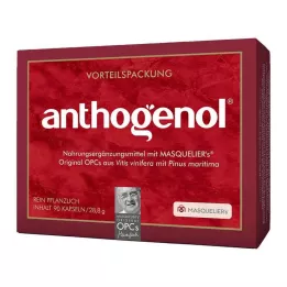 OPC ORIGINAL Κάψουλες Anthogenol Masqueliers, 90 κάψουλες
