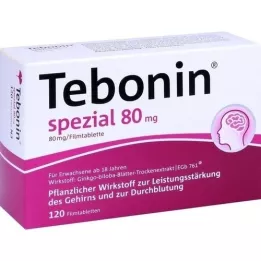 TEBONIN ειδικά επικαλυμμένα με λεπτό υμένιο δισκία 80 mg, 120 τεμάχια