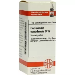 COLLINSONIA CANADENSIS D 12 σφαιρίδια, 10 g