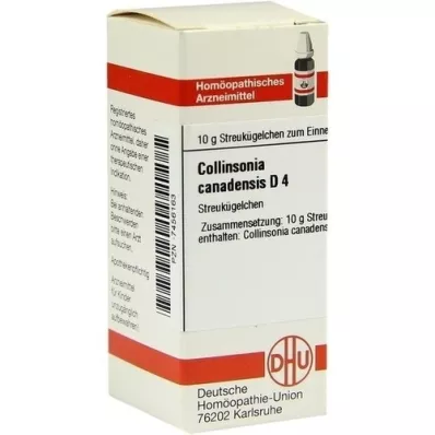 COLLINSONIA CANADENSIS D 4 σφαιρίδια, 10 g