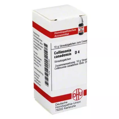 COLLINSONIA CANADENSIS D 4 σφαιρίδια, 10 g