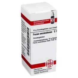 FUCUS VESICULOSUS C 30 σφαιρίδια, 10 g