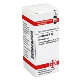 JABORANDI C 30 σφαιρίδια, 10 g