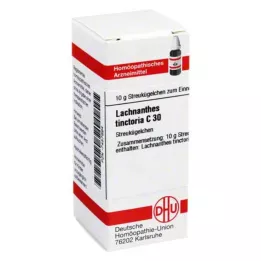 LACHNANTHES tinctoria C 30 σφαιρίδια, 10 g