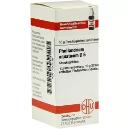 PHELLANDRIUM AQUATICUM D 6 σφαιρίδια, 10 g