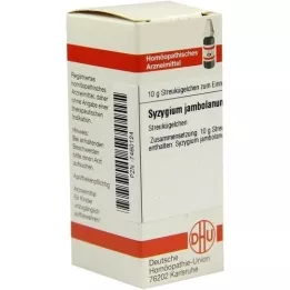 SYZYGIUM JAMBOLANUM C 30 σφαιρίδια, 10 g