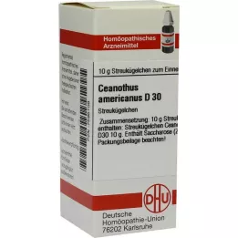 CEANOTHUS AMERICANUS D 30 σφαιρίδια, 10 g