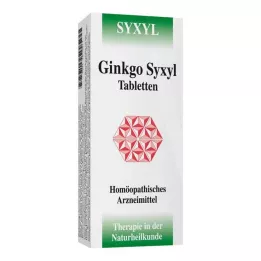 GINKGO SYXYL Δισκία, 120 τεμάχια