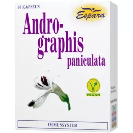 ANDROGRAPHIS κάψουλες paniculata, 60 τεμάχια