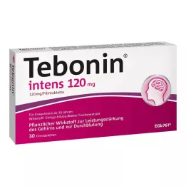 TEBONIN intens 120 mg επικαλυμμένα με λεπτό υμένιο δισκία, 30 τεμάχια