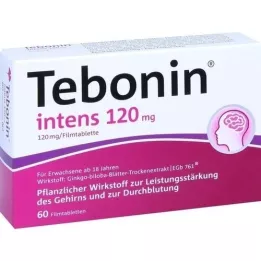 TEBONIN intens 120 mg επικαλυμμένα με λεπτό υμένιο δισκία, 60 τεμάχια