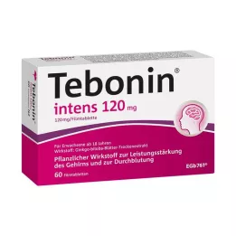 TEBONIN intens 120 mg επικαλυμμένα με λεπτό υμένιο δισκία, 60 τεμάχια