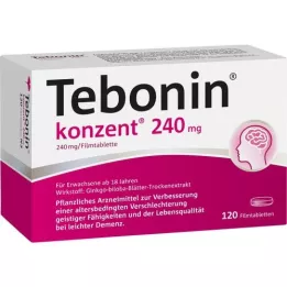 TEBONIN konzent 240 mg επικαλυμμένα με λεπτό υμένιο δισκία, 120 τεμάχια