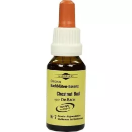 BACHBLÜTEN Σταγόνες Murnauer Chestnut Bud Drops, 20 ml