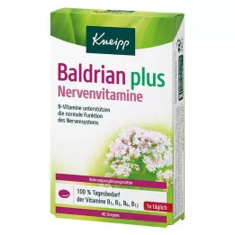 KNEIPP Βαλεριάνα συν νευρικές βιταμίνες επικαλυμμένα δισκία, 40 τεμάχια