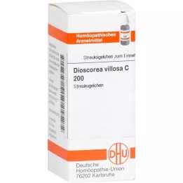 DIOSCOREA VILLOSA C 200 σφαιρίδια, 10 g
