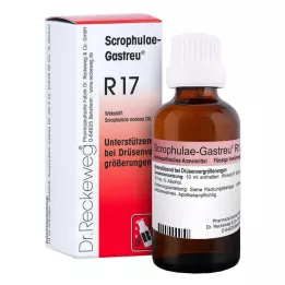 Scrophulae Gastreu R 17 σταγόνες για στοματική χρήση, 50 ml