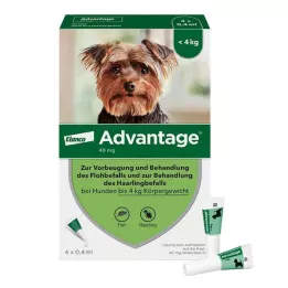 ADVANTAGE 40 διάλυμα για σκύλους έως 4 κιλά, 4 τεμάχια