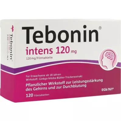 TEBONIN intens 120 mg επικαλυμμένα με λεπτό υμένιο δισκία, 120 τεμάχια