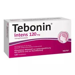 TEBONIN intens 120 mg επικαλυμμένα με λεπτό υμένιο δισκία, 120 τεμάχια