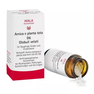 ARNICA E Planta tota D 6 σφαιρίδια, 20 g