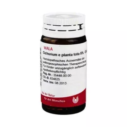 CICHORIUM E planta tota 5% globules, 20 g