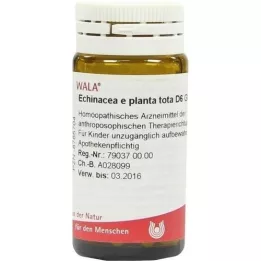 ECHINACEA E planta tota D 6 σφαιρίδια, 20 g